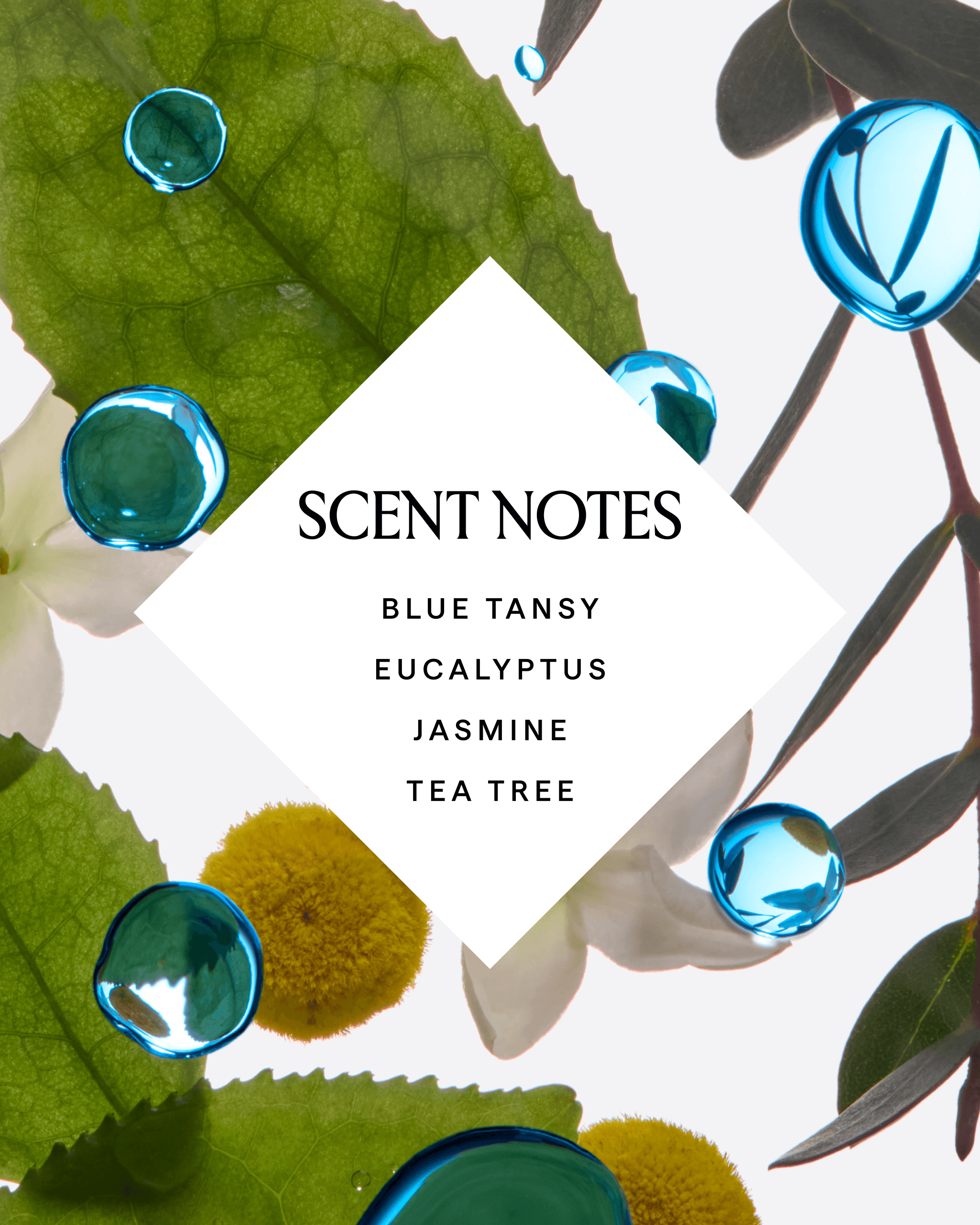 Lapis_BodyWash_4x5_Carousel_5.png