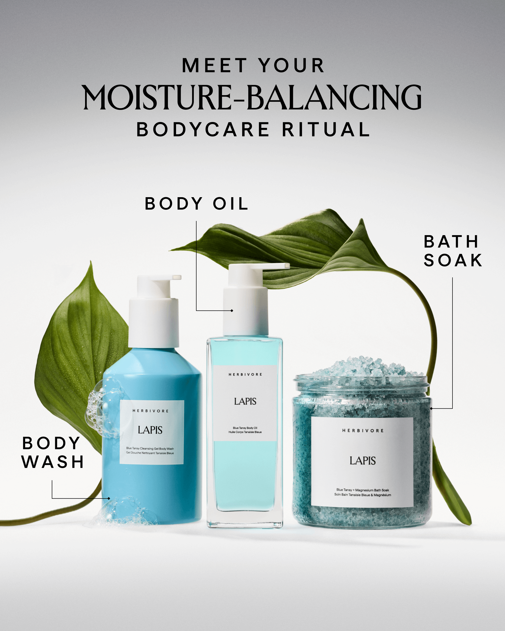 Lapis_BodyWash_4x5_Carousel_7.png